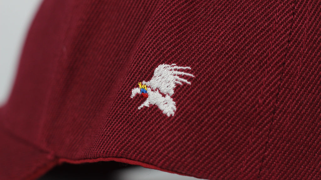 Gorra Resistencia | Kuntur