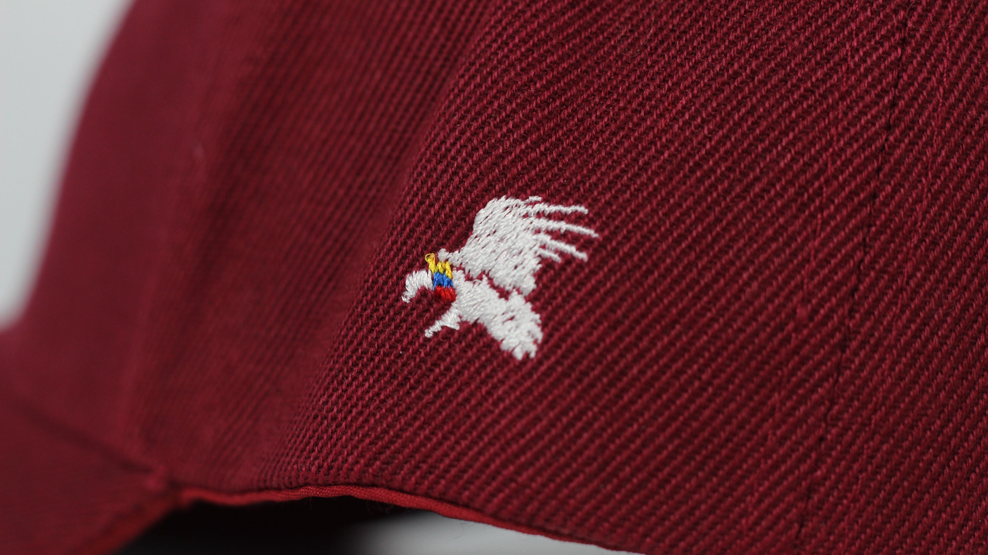 Gorra Resistencia | Kuntur